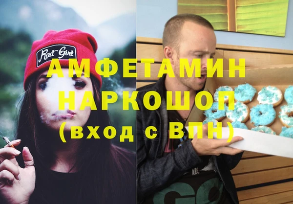 индика Алзамай