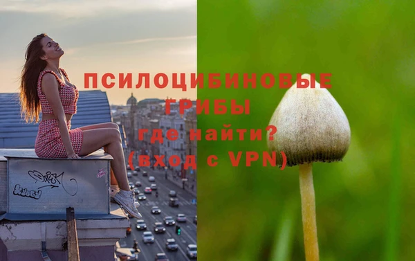 метамфетамин Алексин